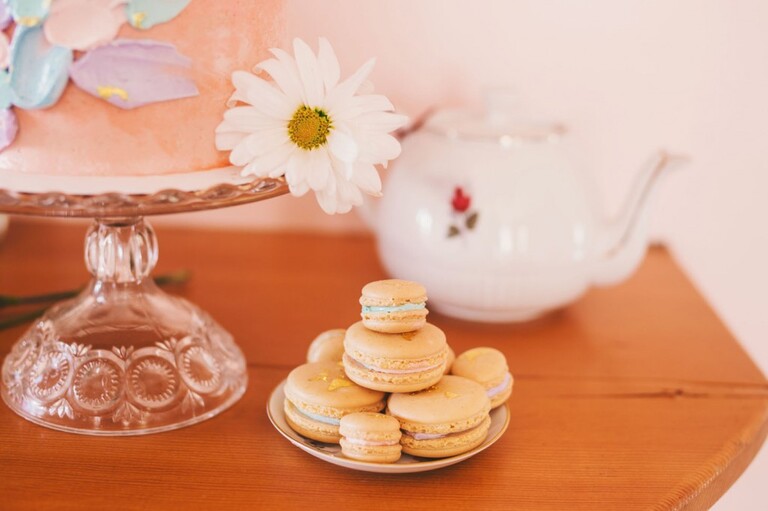 san luis obispo style portraits