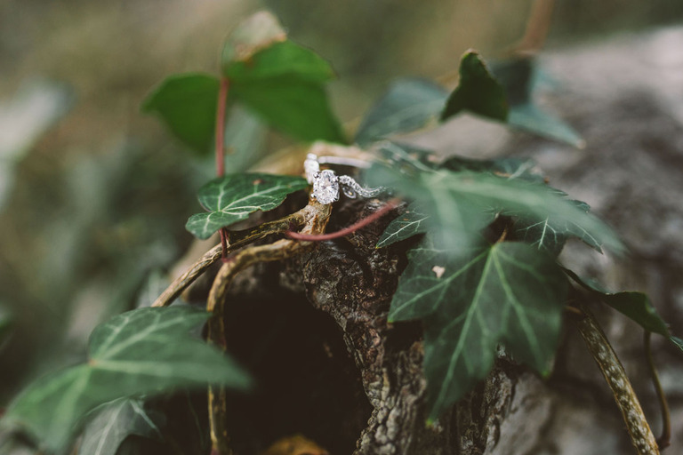 cambria wedding photographer