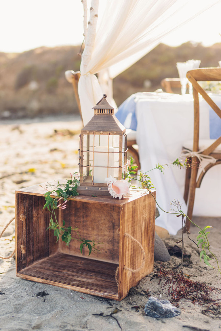 Michelle roller photography