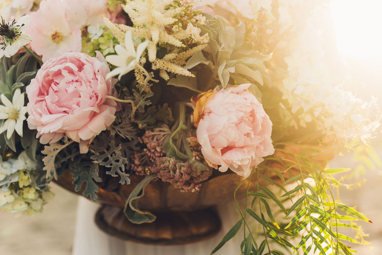 paso robles wedding photographer