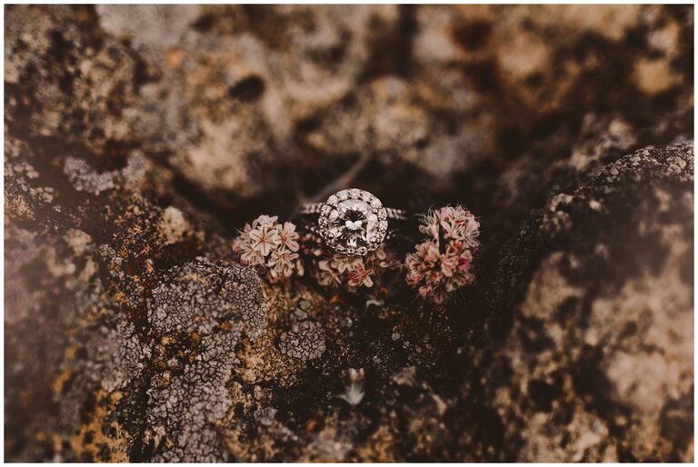 Avila beach wedding photographer