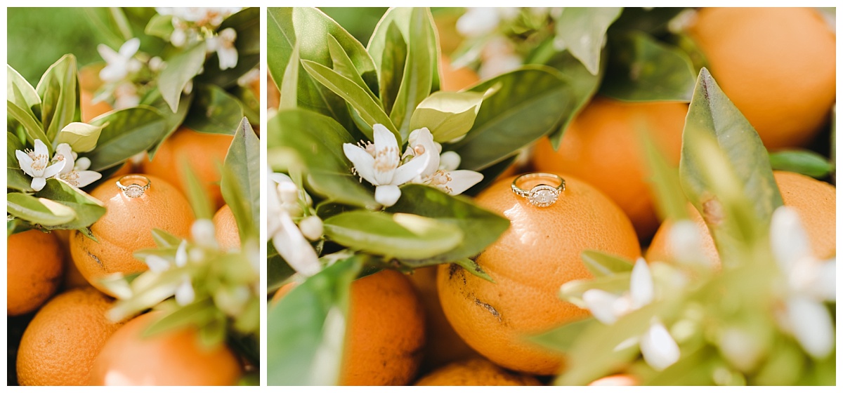 santa barbara engagement photos